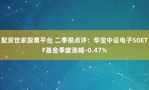 配资世家股票平台 二季报点评：华宝中证电子50ETF基金季度涨幅-0.47%